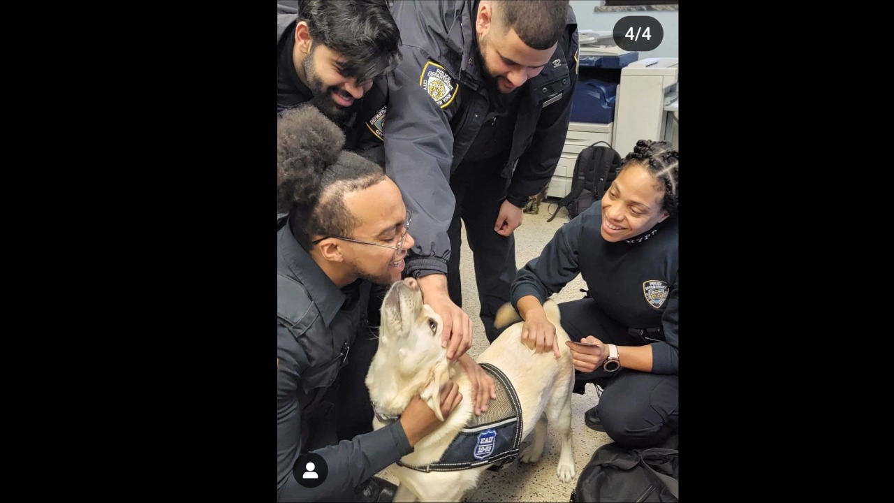 HONOR A LIFETIME OF SERVICE: SUPPORT FACILITY K9 JENNY