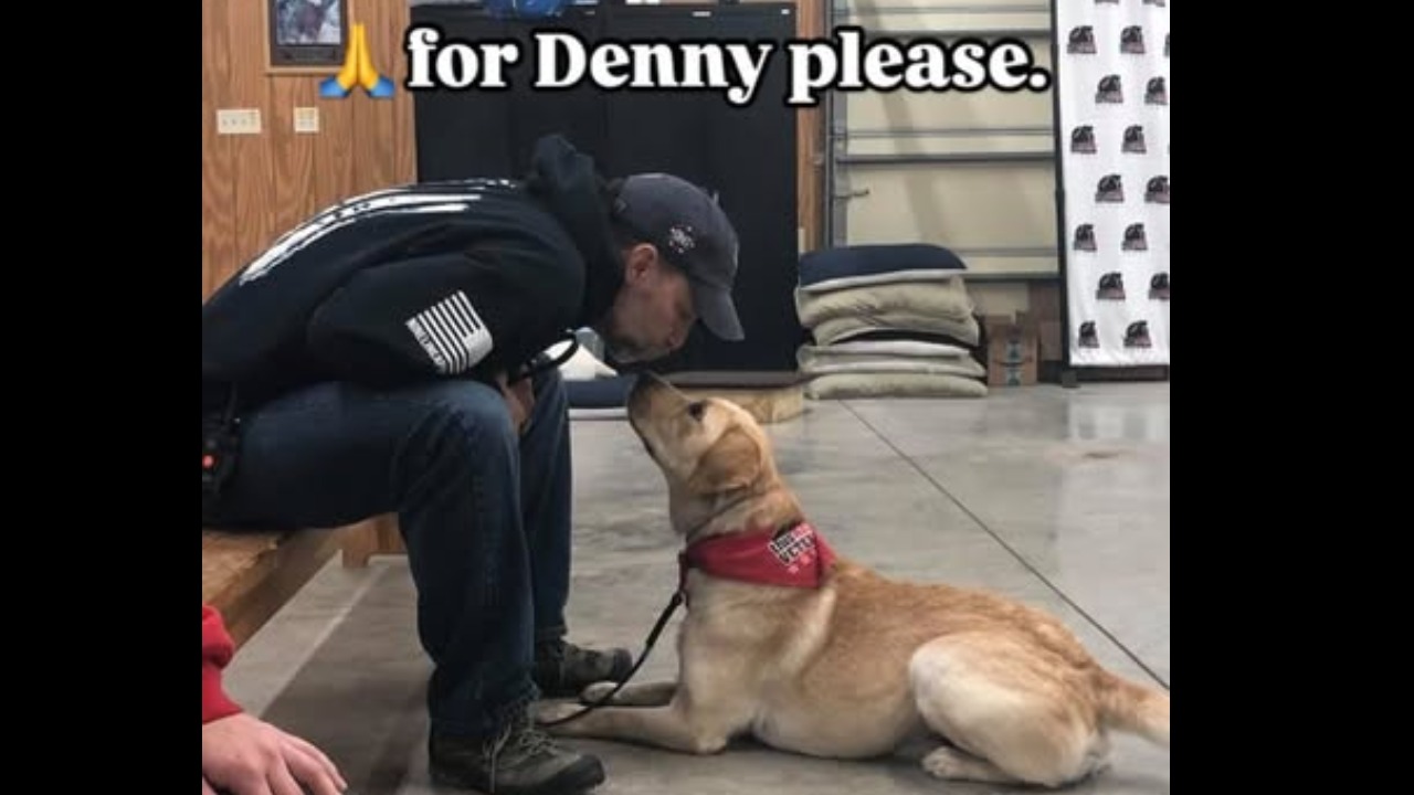 A Hero’s Best Friend Needs Your Help - Denny the Service Dog