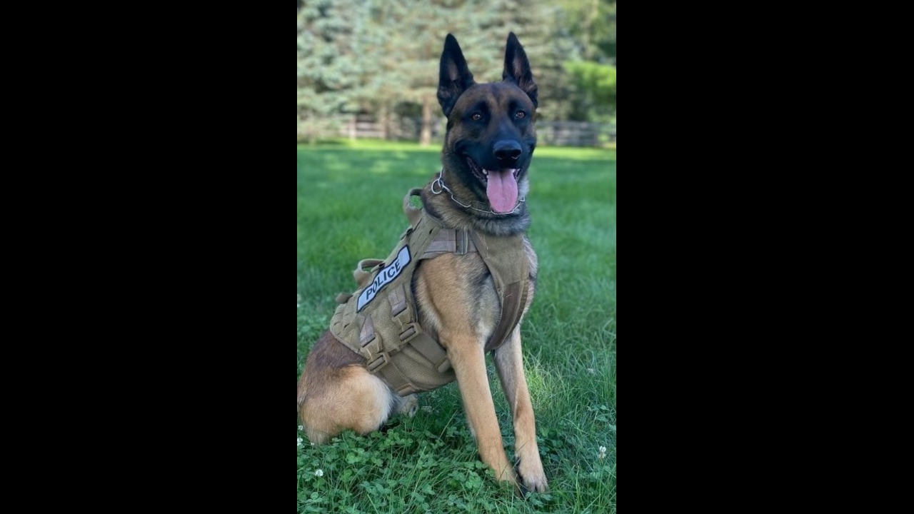 Police K-9 Unit