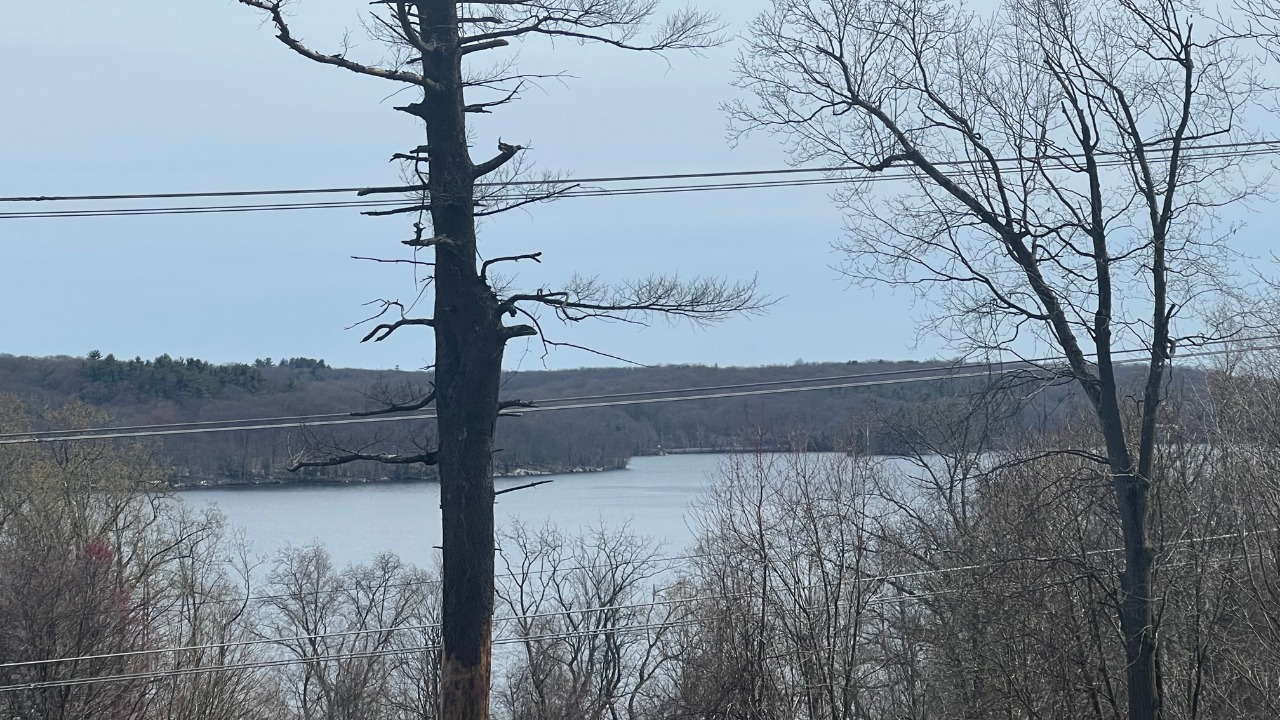 Protect the Kensico Watershed-Stop Airport Expansion